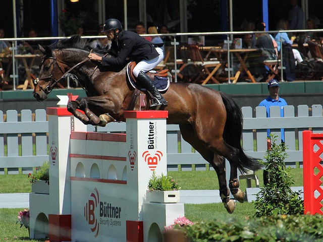 度和稳定性 度和稳定性