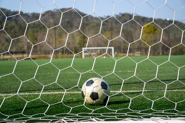 鄭錚因家庭原因暫時離開國家隊 擇日歸隊報道.