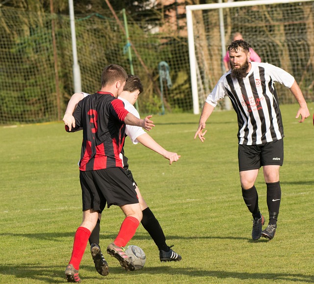 息不仅能帮 息不仅能帮