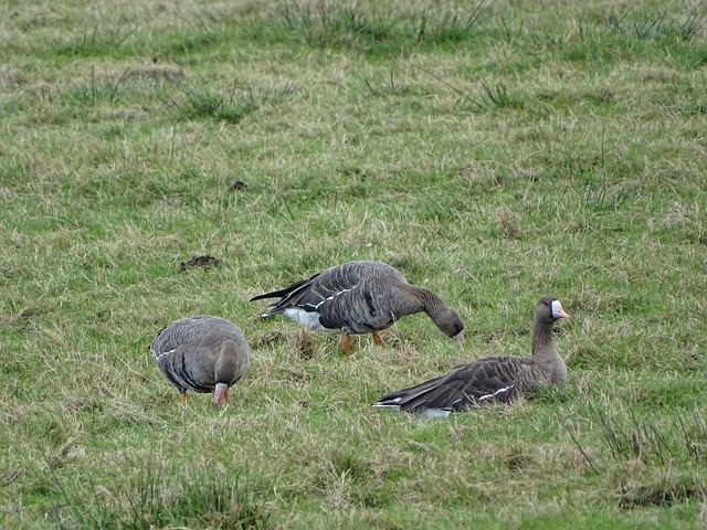 确自己的战 确自己的战