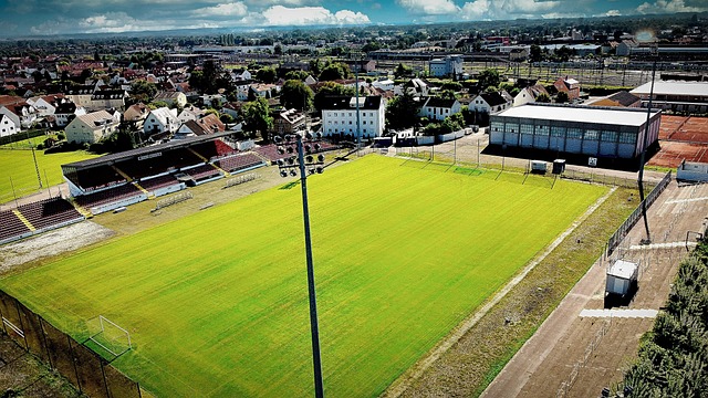 朴街巷中 朴街巷中